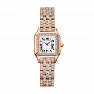 Cartier Panthère de Cartier
